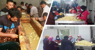 هنا سيدى غازى.. أشهر قرية مصرية لإنتاج وتصدير الخرشوف للعالم.. شباب وفتيات يعملون فى "النوالات" لتجهيزه حسب طلبات العملاء.. المستوردون يطلبونه لجودته الفائقة.. ويلقى رواجا فى دول أوروبا وشرق آسيا.. صور وفيديو