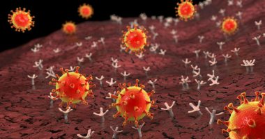 FDA تصرح لأول اختبار يمكنه اكتشاف عدوى كورونا السابقة