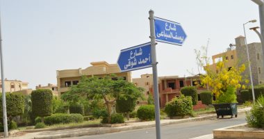 شوارع بأسماء الشعراء والأدباء .. تكريم رموز القوة الناعمة