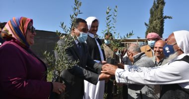 محافظ مطروح يوزع 50 ألف شتلة زيتون على المزارعين بالمحافظة.. صور