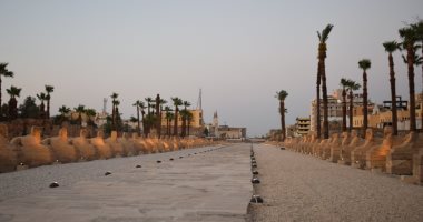 تفاصيل إحياء طريق الكباش الفرعونى بطول 2700 متر .. أضخم مشروع أثرى قومى بالأقصر.. يربط بين معبدى الأقصر والكرنك.. والاستعداد لافتتاحه قريبا بعد إنهاء الترميمات داخله بنسبة 97% لخدمة الحركة السياحية