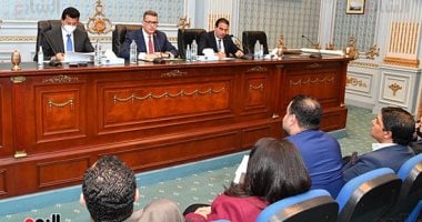 وزير الشباب أمام لمجلس النواب: نسعى لإنشاء وحدة لحقوق الإنسان داخل الوزارة 