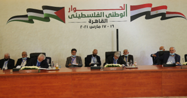 عضو مجلس الشيوخ: القضية الفلسطينية على رأس أولويات مصر
