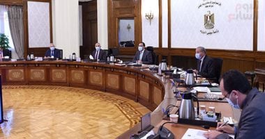 الحكومة: بدء تطبيق الزراعة التعاقدية فى فول الصويا وعباد الشمس قريبا