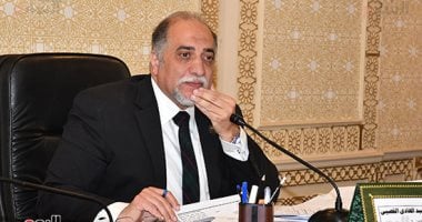 القصبى: إنجازات عهد الرئيس السيسي بحقوق الإنسان تكذب المنظمات المشبوهة  