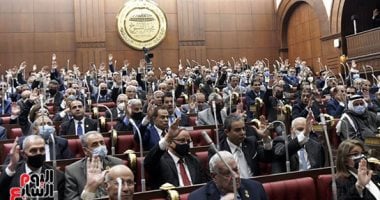 مجلس الشيوخ يوافق على المادة المنظمة لتشكيل مجلس نقابة المهندسين