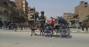 انتعاش الحركة السياحية بإدفو فى أسوان.. والحنطور يتصدر المشهد.. صور