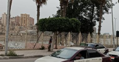 نشاط للرياح المحملة بالأتربة وارتفاع درجات الحرارة فى الدقهلية.. فيديو وصور