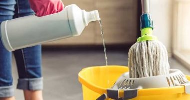 قبل ذروة ارتفاع درجات الحرارة.. حيل ربات البيوت للوقاية من حشرات المنزل