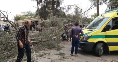 مصرع عامل دليفرى سقطت عليه شجرة بسبب شدة الرياح بالدقهلية