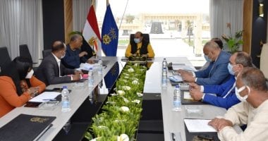 محافظ أسوان لنواب البرلمان: وضع كورونا مستقر وجهود لمجابهة الأزمة