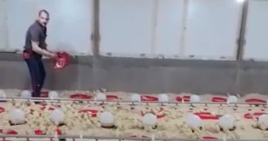 تشغيل مشروع عنابر تربية الدواجن فى المنطقة الصناعية بالمنيا
