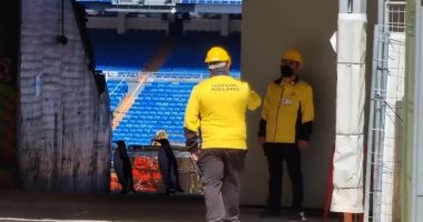 طيور البطريق تظهر في ملعب سانتياجو برنابيو.. فيديو