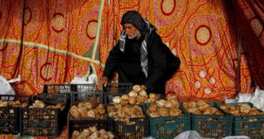 رحلة البحث عن نبات الكمأة وسط مخاطر الصحراء فى العراق