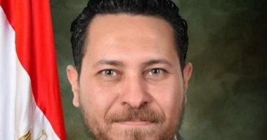 تنسيقية شباب الأحزاب: التعاون بين مصر وأمريكا يلعب دورا هاما بحل قضايا المنطقة