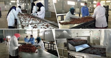 أخبار الاقتصاد اليوم.. 30 مليون إجمالى قوة العمل ومشاركة المرأة بالقطاع الخاص 16%