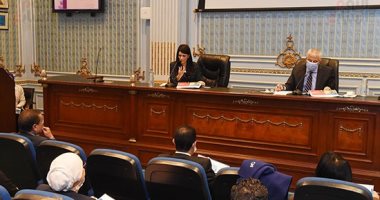 وزيرة التعاون الدولى: أبرمنا اتفاقيات لتمويل 70 مشروعا تنمويا خلال 2020