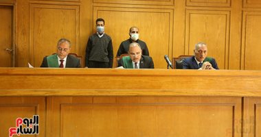 دفاع "طفلة المعادى" يطالب بأقصى عقوبة على المتهم.. والمحكمة: التوعية هى الحل