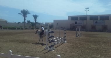 80 فارس وفارسة يشاركون بالمرحلة الأخيرة لبطولة الجمهورية للفروسية بشرم الشيخ