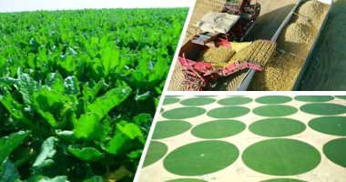 مشروع مستقبل مصر للإنتاج الزراعى.. حلم قومى للدولة المصرية يساهم بـ 60 % من الدلتا الجديدة.. زراعة المحاصيل الاستراتيجية لتحقيق الأمن الغذائى والاكتفاء الذاتى.. ويهدف للشراكة مع المستثمرين الزراعيين