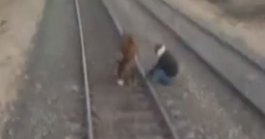 شاهد يقظة سائق قطار الأقصر وكيف أنقذت حمارا مربوطا على السكة الحديد