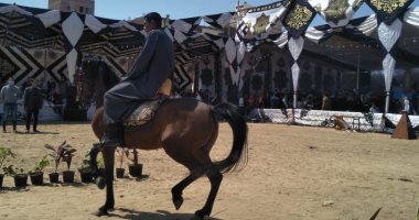 محافظ البحيرة يفتتح مهرجان الخيول العربية بكوم حمادة بمشاركة 6 دول.. صور