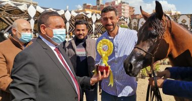 محافظ البحيرة يسلم الكؤوس لأصحاب المراكز الأولى بمهرجان الخيول العربية الأصيلة