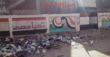 محافظ القليوبية يستجيب لاستغاثة قرية طنان برفع القمامة وإنشاء كوبرى مشاة