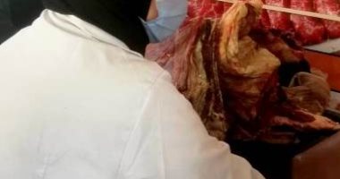 ضبط 5 أطنان لحوم وأسماك وتحرير 97 محضر مخالفة فى حملات تفتيشية بالشرقية.. صور