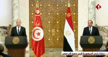 الرئيس السيسى: قضية فلسطين محورية للعالم العربي ونبذل الجهود لتطبيق حل الدولتين