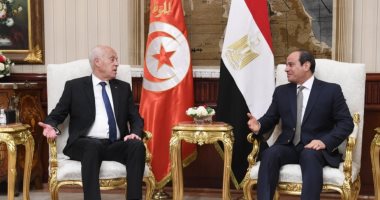 أستاذ بجامعة قناة السويس: التبادل التجارى بين مصر وتونس سيزيد بعد زيارة قيس سعيد