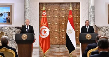 الرئيس السيسى لنظيره التونسى: الأمن المائى المصرى جزء من الأمن القومى العربى
