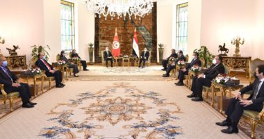 قيس سعيد: تناولت مع الرئيس السيسي قضايا تتعلق بالوعى والتصدى للمخاطر