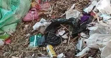 أهالى أكياد البحرية بالشرقية يطالبون برفع القمامة.. ورئيس المدينة يستجيب