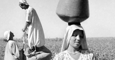 100 صورة عالمية .. "جنى القطن" اللقطة الأبرز لـ ريف مصر 