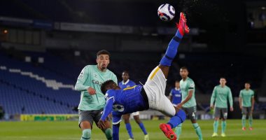 إيفرتون يسقط في فخ برايتون بالدوري الانجليزي