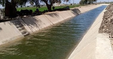 متحدث الرى: تأهيل الترع أحد محاور تطوير الريف وله مردود اقتصادى على العمال
