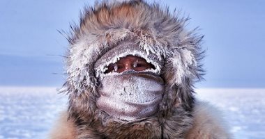 اللقطة المذهلة.. مسابقة تصوير فوتوغرافى تحتفى بالثقافات والحياة البرية .. ألبوم صور