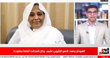 الخارجية السودانية عن سد النهضة: أطلعنا مجلس الأمن على التطورات.. فيديو