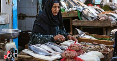 البحر واحد والسمك ألوان.. الأسعار للجميع فى سوق المنيب