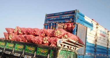 الحجر الزراعى: تكويد البصل المصرى المصدر إلى السعودية أمان للمزارع والمستورد