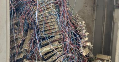 المصرية للاتصالات ترفع كفاءة بوكس تليفونات في مدينة نصر استجابة لشكوى قارئة
