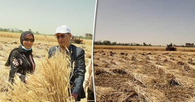 مشروع "مستقبل مصر".. أهم ملامح الجمهورية الجديدة.. نصف مليون فدان يحقق الأمن الغذائى للدولة.. يقع على امتداد طريق محور الضبعة الجديد.. بدأ التفكير فيه بإبريل عام 2017.. ويوفر أكثر من 200 ألف فرصة عمل 