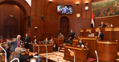 مجلس الشيوخ يوافق على المادة المنظمة لتشكيل الهيئات التأديبية لنقابة المهندسين