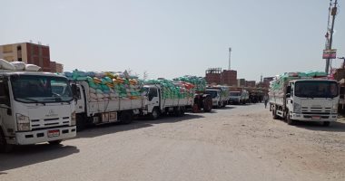 بدء موسم توريد القمح للصوامع والهناجر بالدقهلية بـ 32 موقع