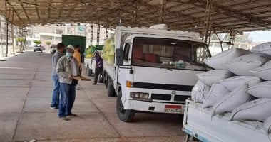 تموين بورسعيد: مطاحن شرق الدلتا جاهزة لإستقبال موسم توريد القمح