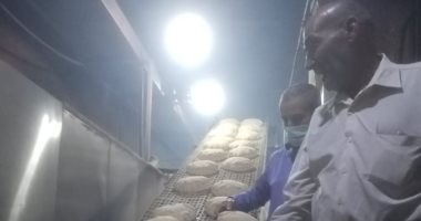 ضبط مخبزين تصرفوا فى 12 شيكارة دقيق فى حملة تموينية بأجا بالدقهلية