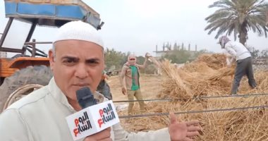 "القمح الليلة ليلة عيده".. فلاحو الإسماعيلية يحصدون سنابل الذهب الأصفر.. زراعة 44 ألف فدان بعروس القنال.. موسم الحصاد فترة رواج للعمالة الموسمية.. و725 سعر الأردب.. فيديو