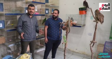 أكبر ثعبان أناكوندا فى مصر.. حلقة جديدة من "صندوق محسوب" 