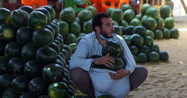 أحمر على أبوه يا بطيخ.. الفاكهة الصيفية الأكثر جماهيرية بسوق الساحل